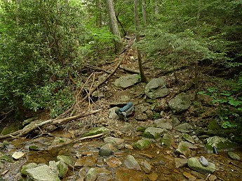 TRIP-122-385.jpg