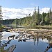 Summer Day in Algonquin