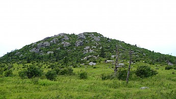 TRIP-123-492.jpg