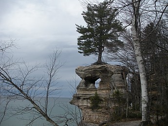 DSCN1262.jpg