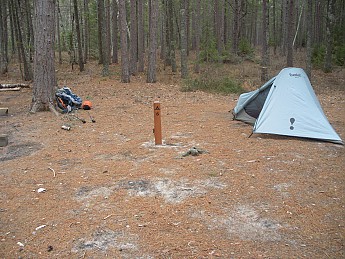 DSCN1254.jpg
