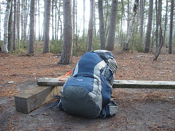 DSCN1276.jpg