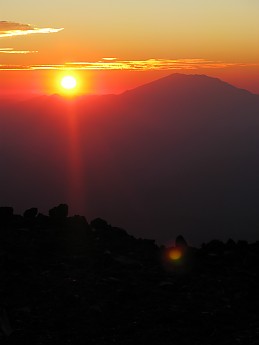 IMG_3922.jpg
