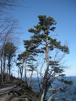 DSCN1282.jpg