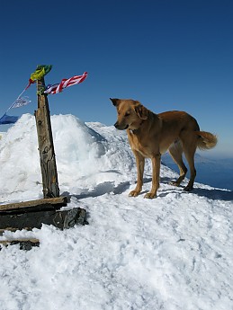 IMG_4086.jpg