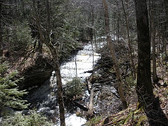DSCN1290.jpg