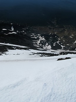 IMG_4102.jpg