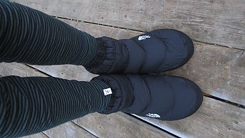 IMG_0460.jpg