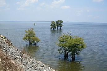 SDC10695.jpg