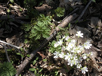 DSCN1306.jpg