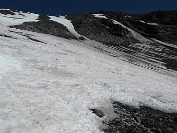 IMG_4116.jpg