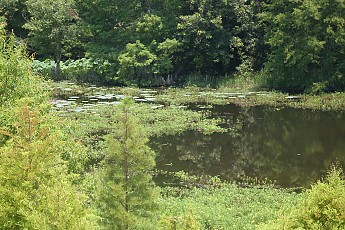 SDC10693.jpg