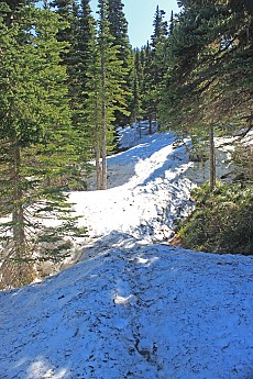 Mc111-Snow-5000-ft12.jpg