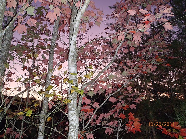 Fall-4-2011-017.jpg