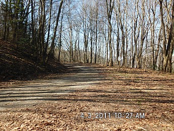 Spring-Trip-4-1-11-073.jpg