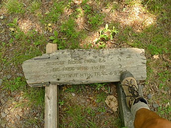 TRIP-122-418.jpg