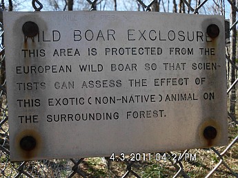 Spring-Trip-4-1-11-091.jpg