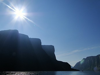 image.jpg