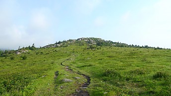 TRIP-123-495.jpg