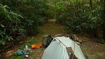 TRIP-122-430.jpg