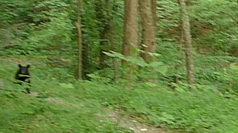 TRIP-122-435.jpg
