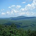 Bear Mt