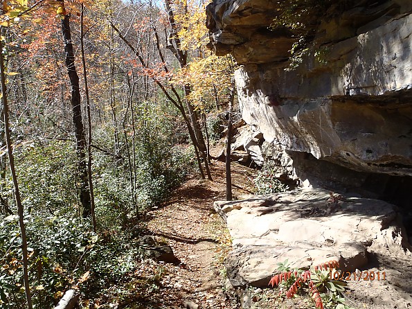Fall-4-2011-144.jpg