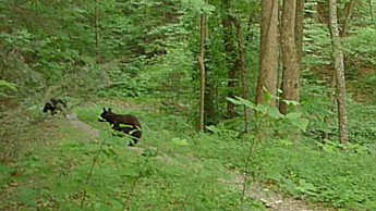 TRIP-122-436.jpg