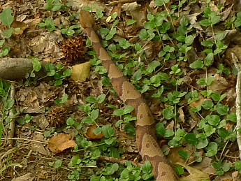 TRIP-122-439.jpg