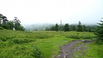 TRIP-123-507.jpg