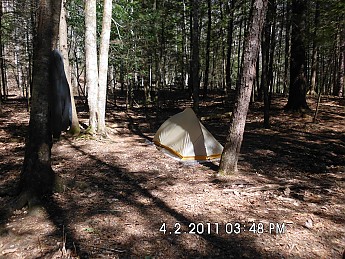 Spring-Trip-4-1-11-042.jpg