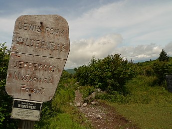 TRIP-123-509.jpg
