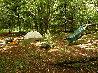 TRIP-123-510.jpg