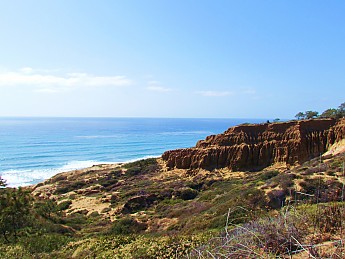 156.jpg