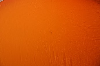 IMG_7336.jpg
