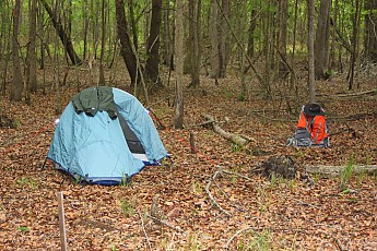 DPP_Moultrie_Passage_20058.jpg