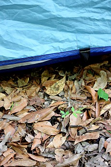 DPP_Moultrie_Passage_20114.jpg