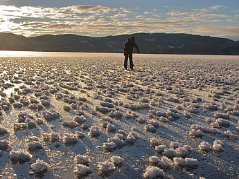 Fresh-frost-flowers.jpg