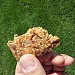 20130516_104242