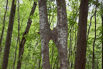 DPP_Moultrie_Passage_20059.jpg