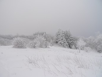 TRIP-118-345.jpg