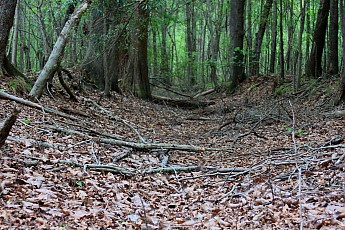 DPP_Moultrie_Passage_20062.jpg