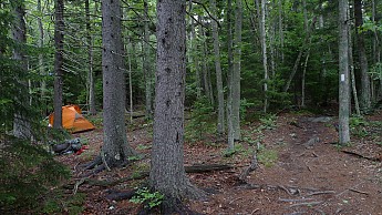 TRIP-123-522.jpg