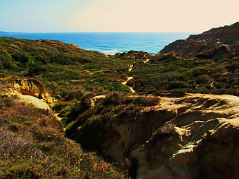209.jpg