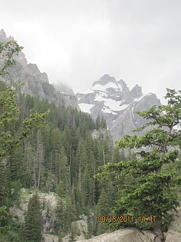IMG_0570.jpg