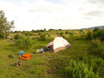 TRIP-123-531.jpg