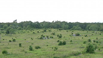 TRIP-123-534.jpg