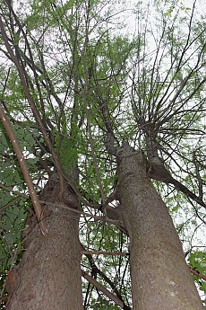 DPP_Moultrie_Passage_20082.jpg