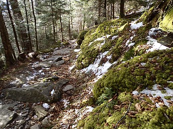 P1040166.jpg