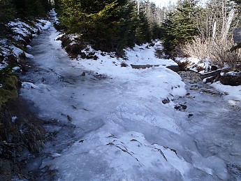P1040165.jpg